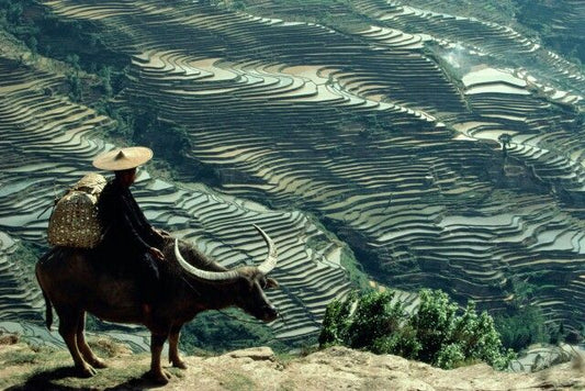 Le voyage Aereso : du Yunnan à votre salle de bain